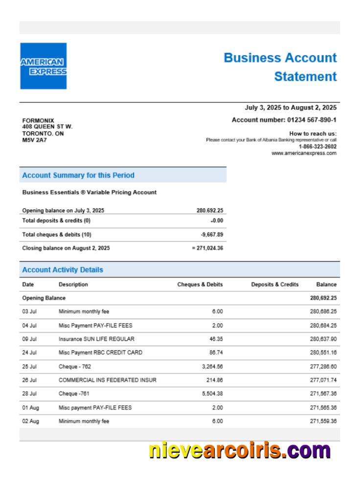 American Express Air Miles enterprise account statement